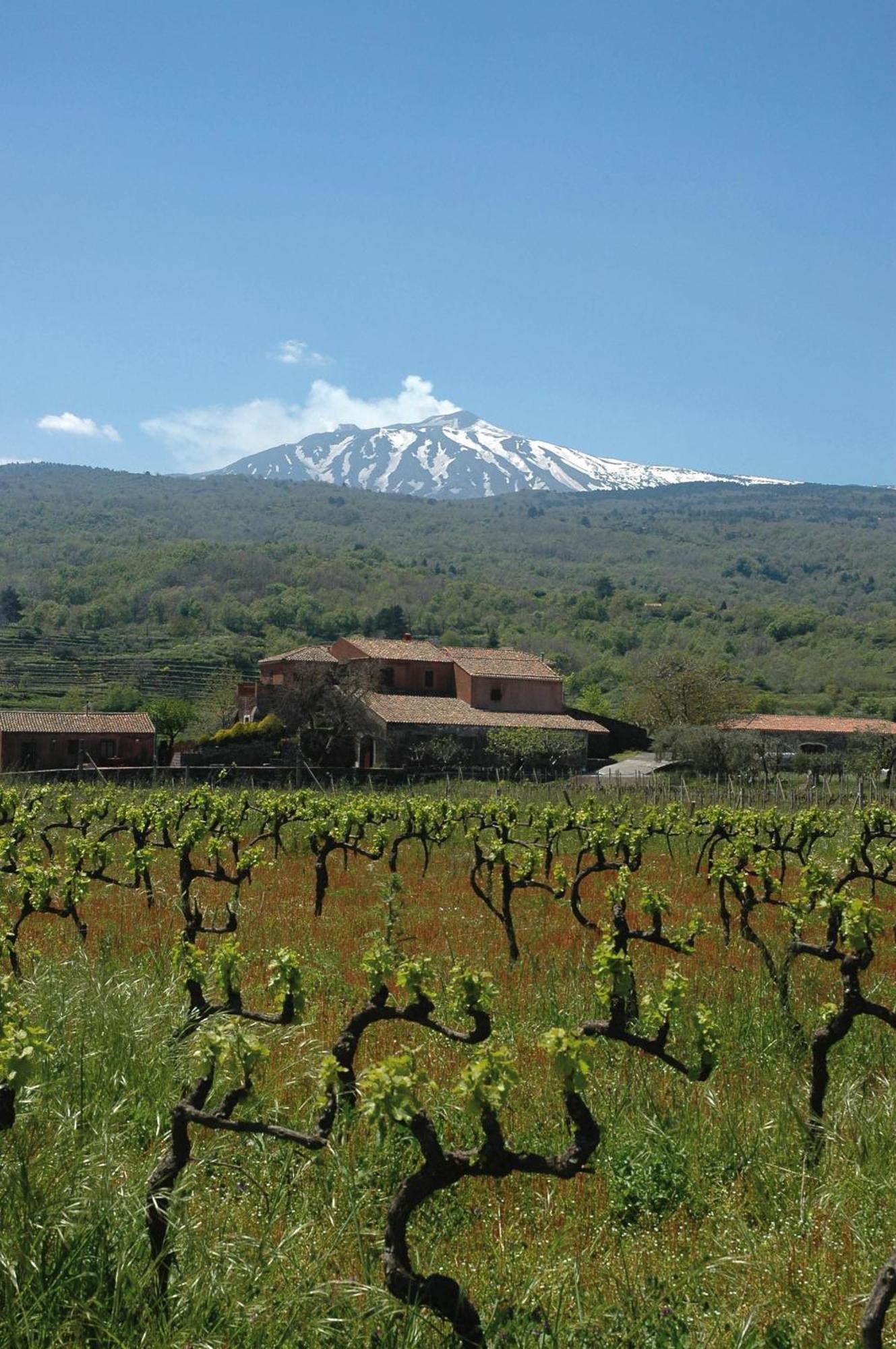 Agriturismo Valle Galfina Linguaglossa Bagian luar foto